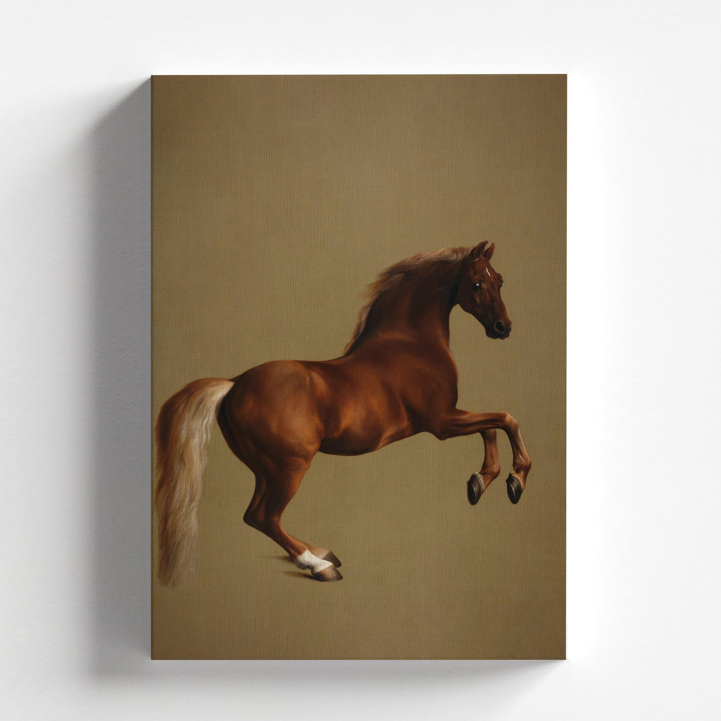 Whistlejacket by George Stubbs 1762 | Georgian Art Print (D0136)