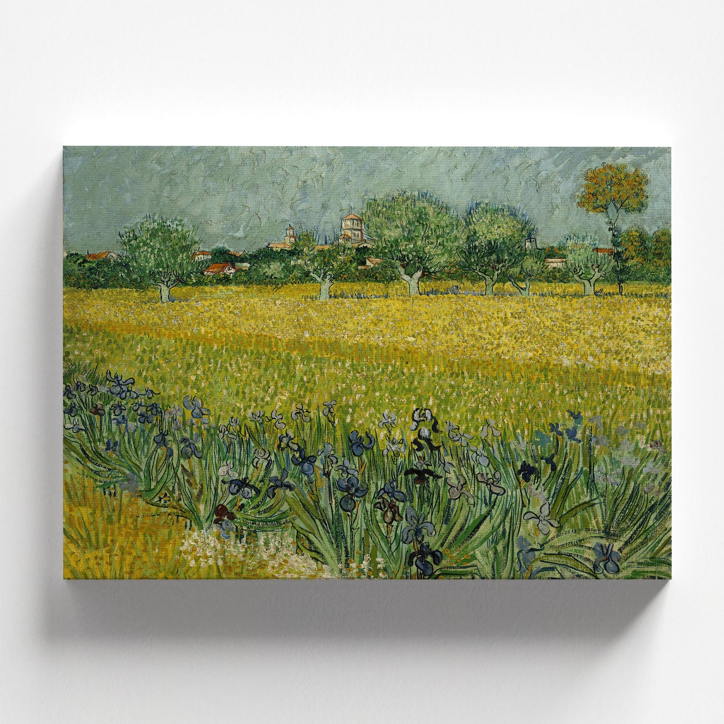 View of Arles with Irises in the Foreground by Vincent van Gogh 1888 | Post-Impressionism Art Print (B4216)