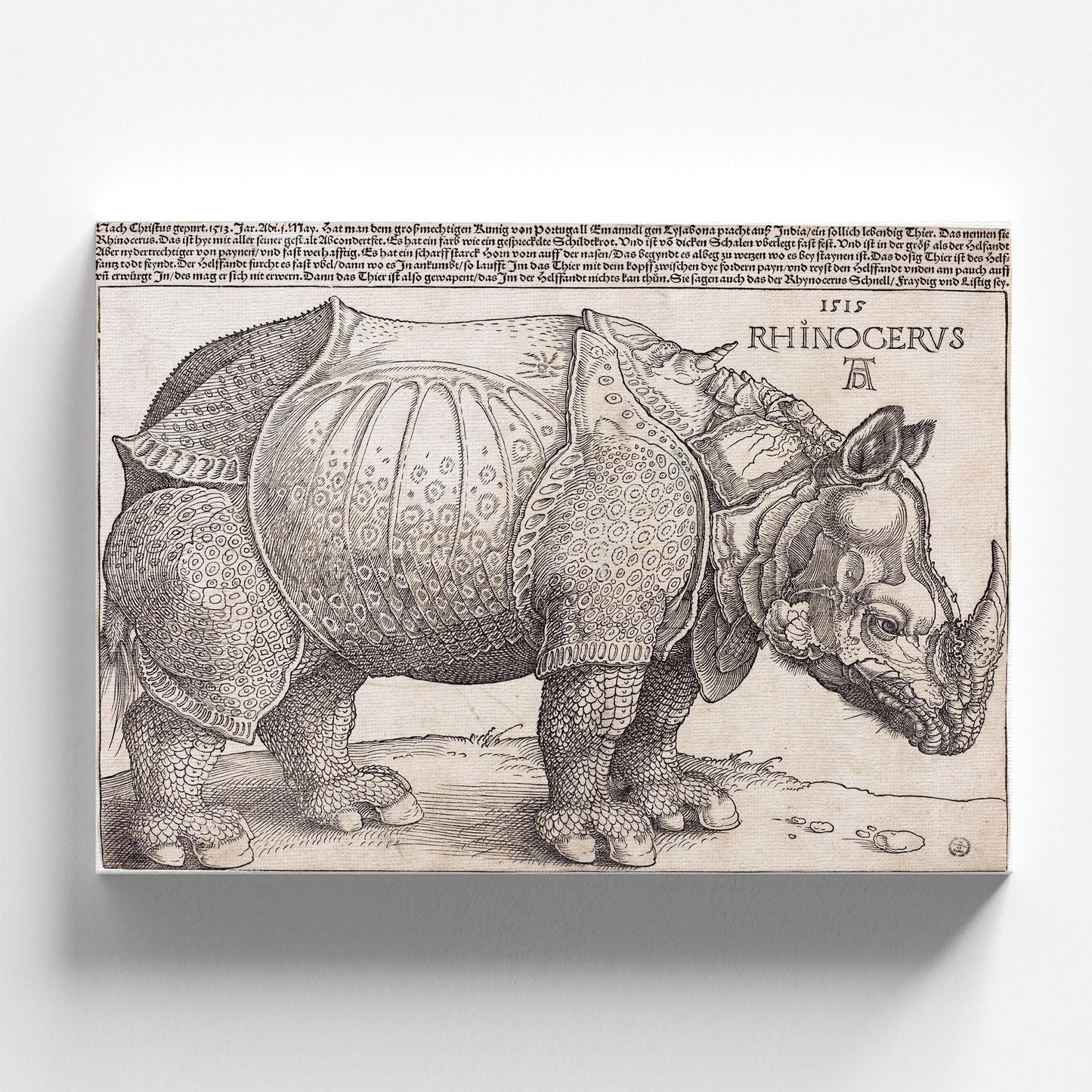 The Rhinoceros by Albrecht Dürer 1515 | Renaissance Art Print (B4218)