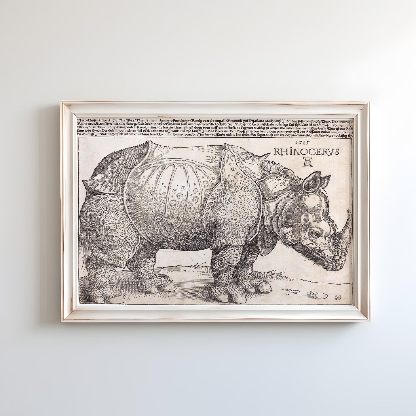 The Rhinoceros by Albrecht Dürer 1515 | Renaissance Art Print (B4218)