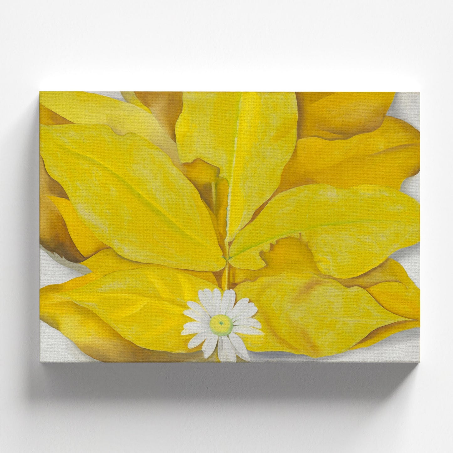 Yellow Hickory Leaves with Daisy by Georgia O'Keeffe 1928 | American Art Print (B8045)